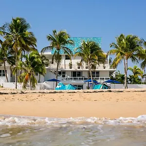 https://numero-1-guest-house.top-hotels-puertorico.com